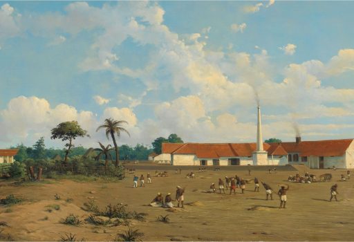 Colonial Plantation Java forced labor cultivation system