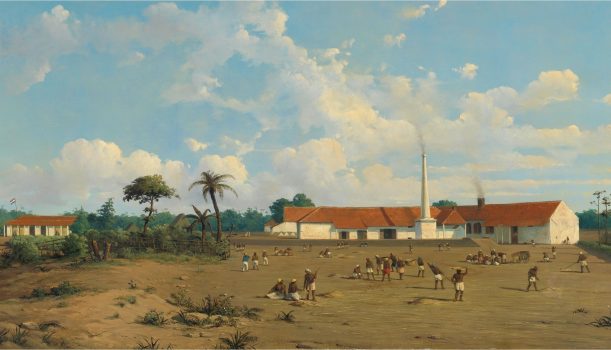 Colonialism, forced labor and mortality in Java