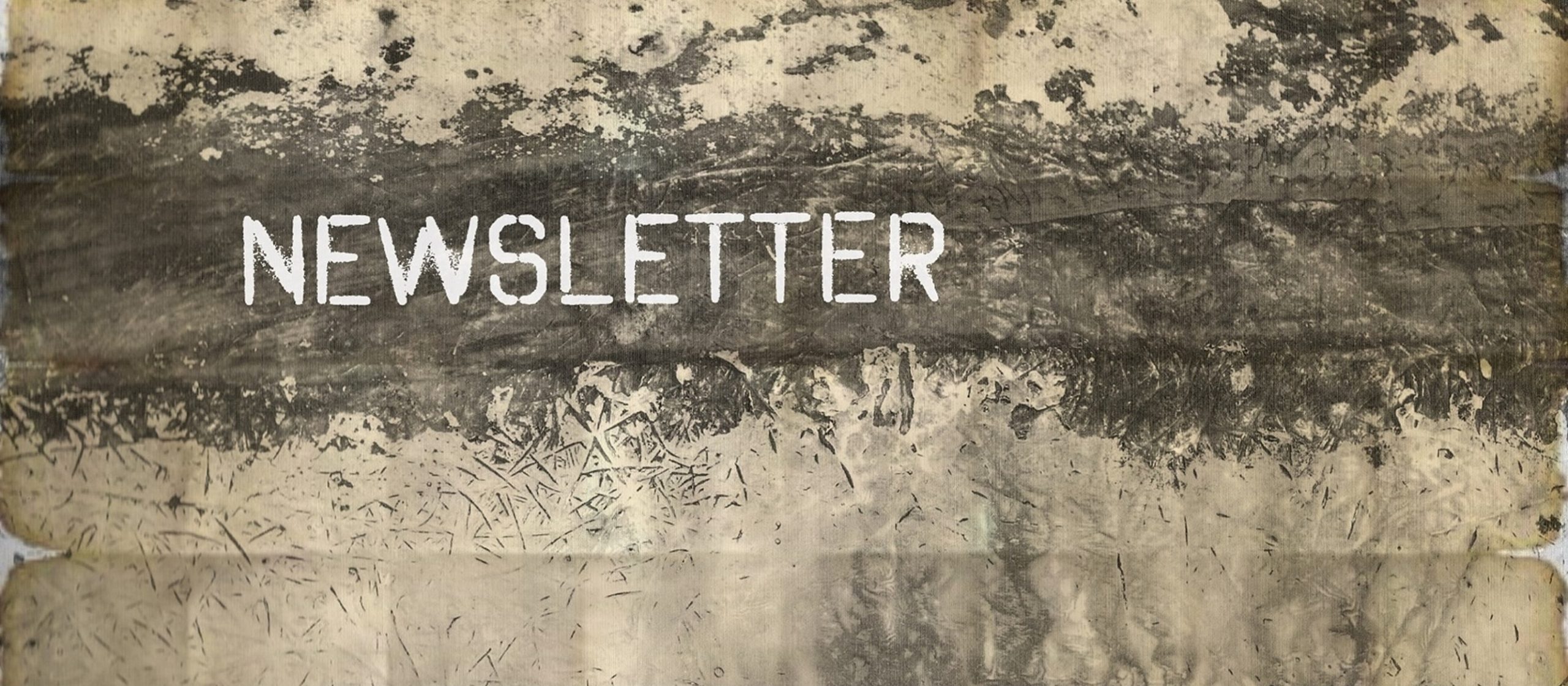 Newsletter