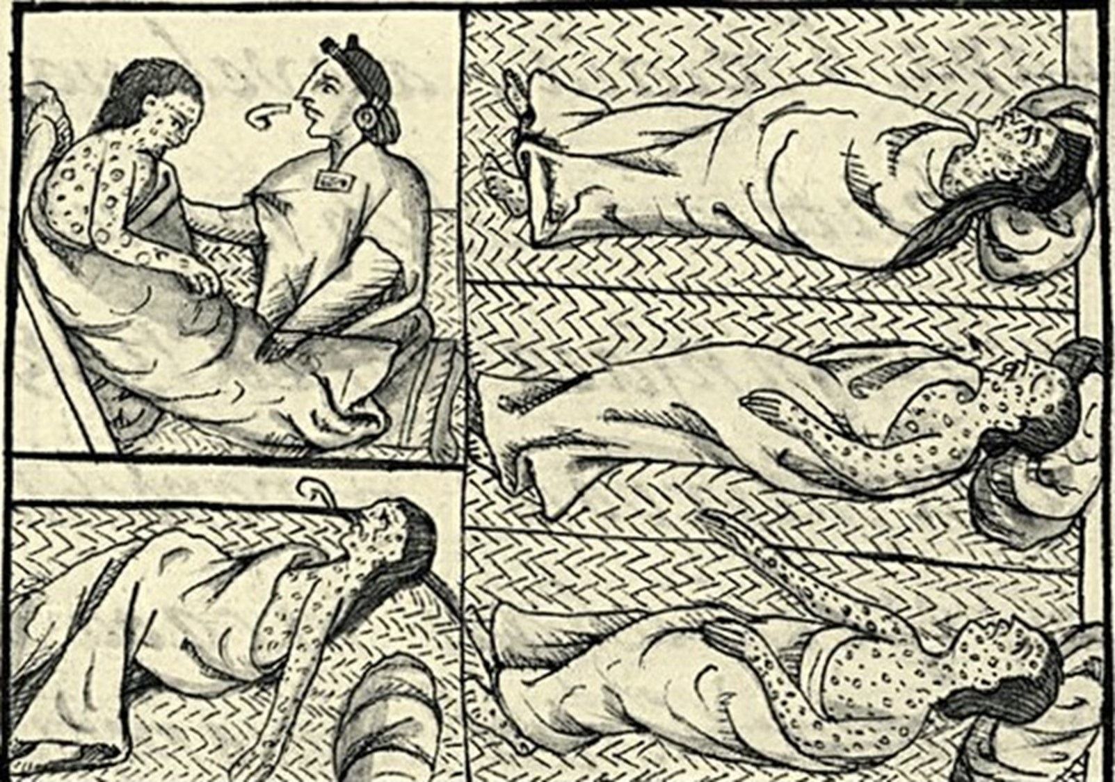 Epidemic Disease and Indigenous Survival: Research Findings for Colonial Latin America